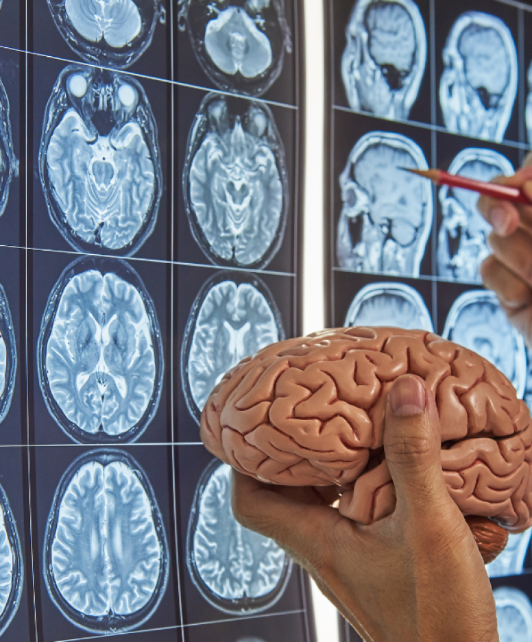A brain held in front of a imagery of a brain